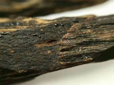 عود معطر (طق) للبخور